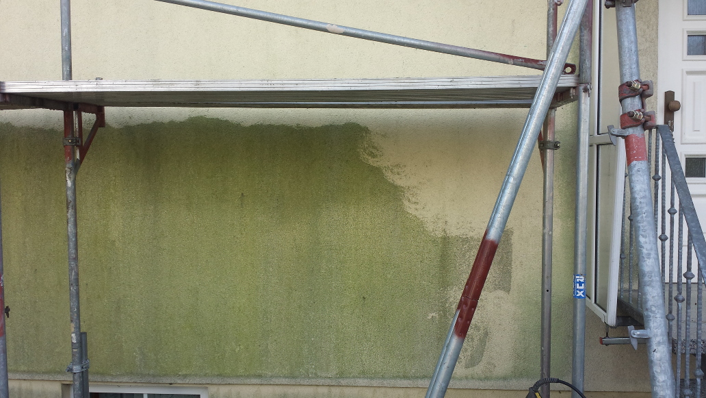 Sanierung einer mit Algen befallenen Fassade, Bild 3