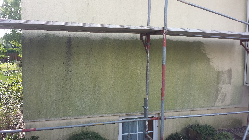 Sanierung einer mit Algen befallenen Fassade, Bild 4